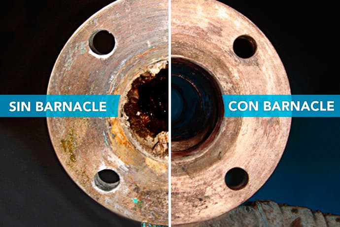 Comparativa de limpieza de circuitos marinos