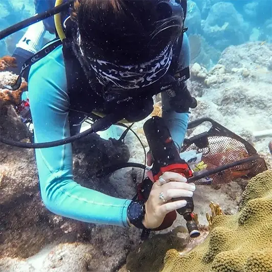 Taladro a batería para buzos Nemo