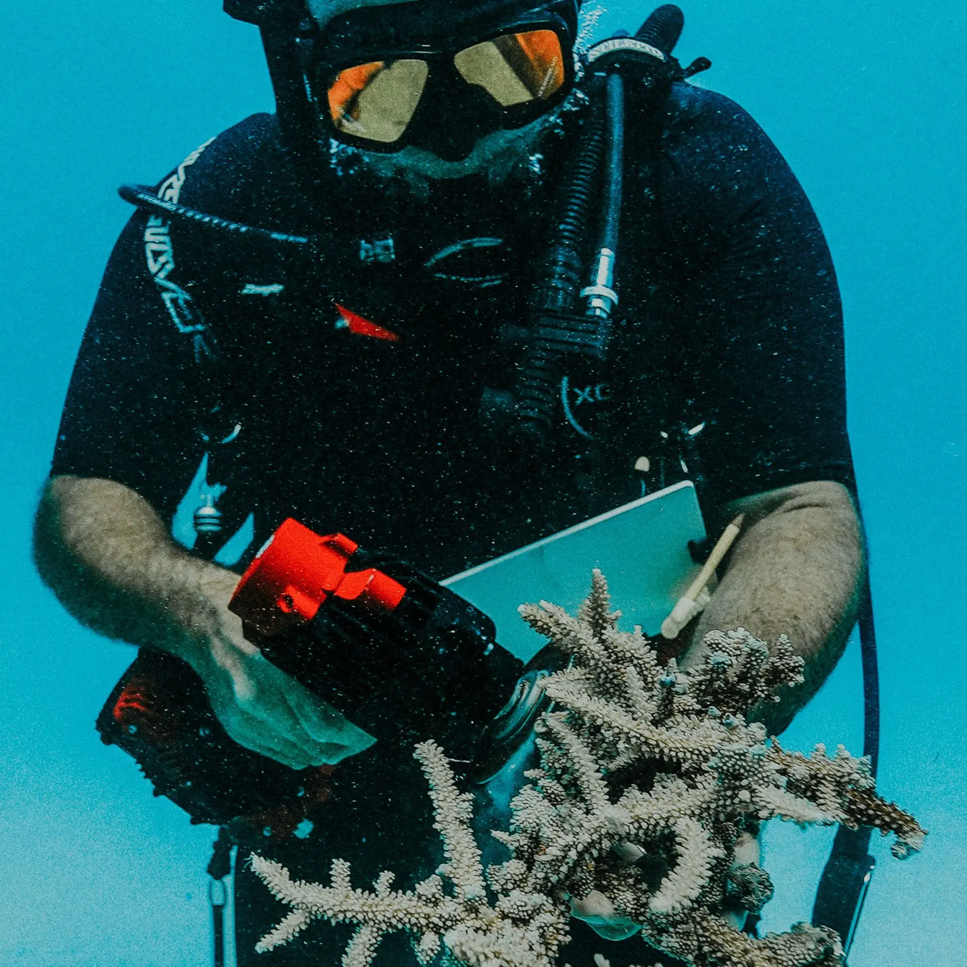 amoladora subacuática - corte coral
